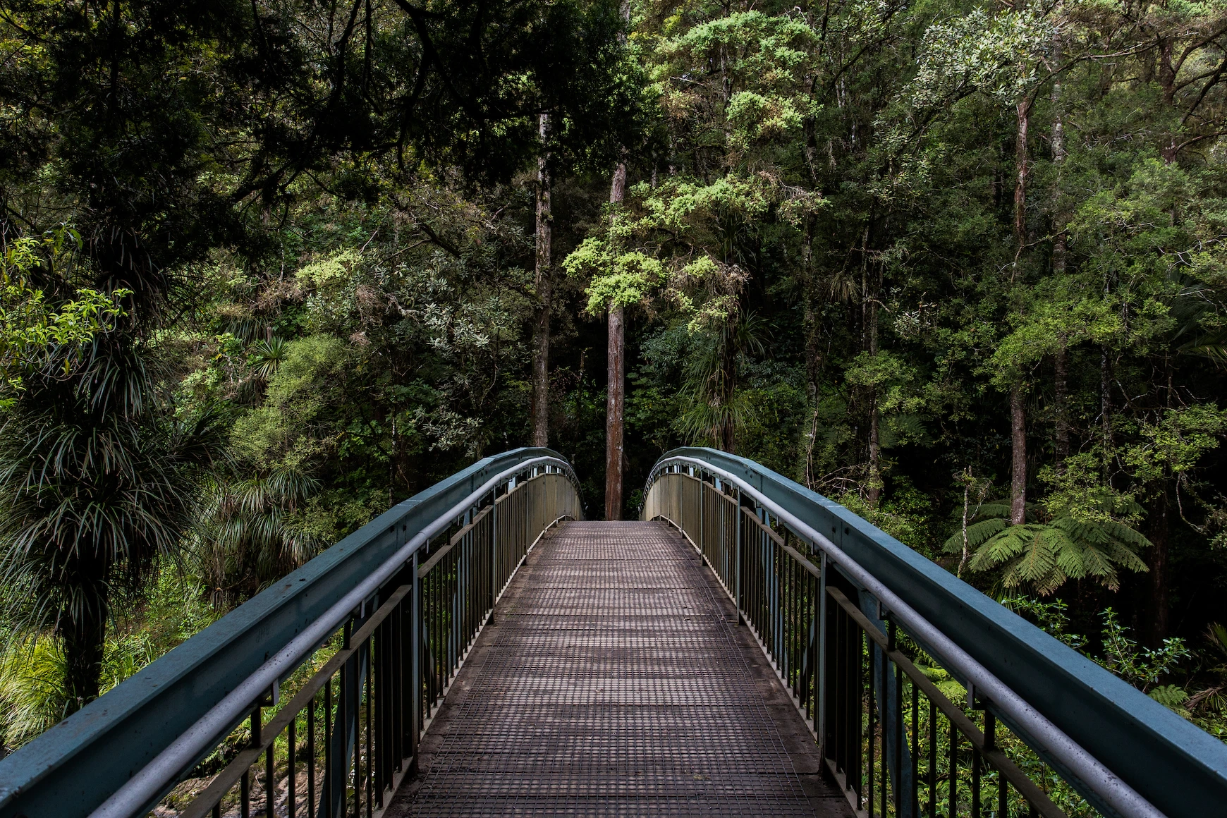 Waldbrücke, Natur, Brücke im Wald